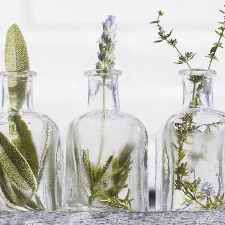 Herbal Remedies for Menopause: Complete Guide to Natural Relief