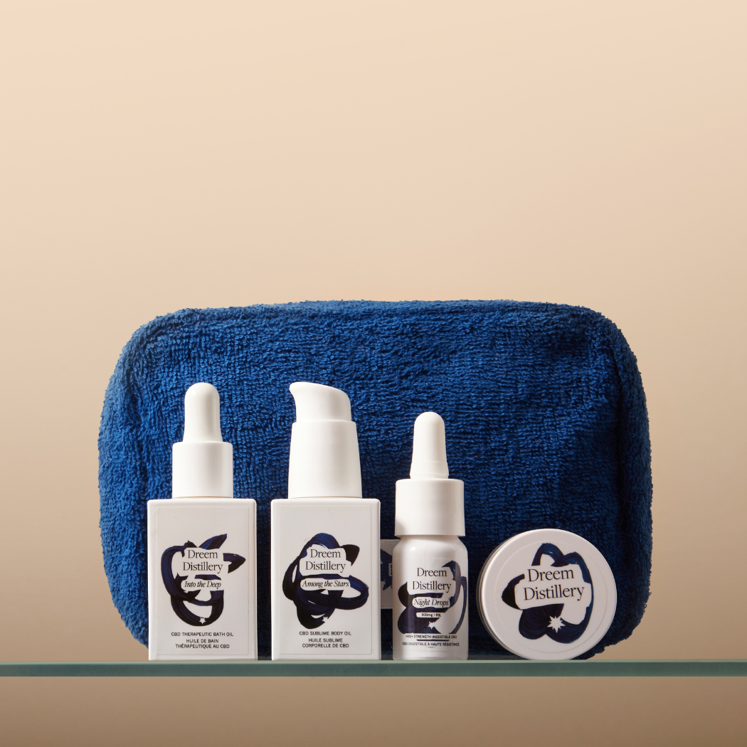 Jet Set Travel Wellness Kit